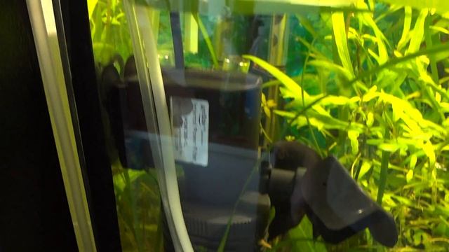 Реакция соды+лимонки=CO2.MTS смотреть онлайн