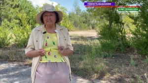 Что же такое гибкость мышления