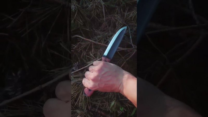 Нож Бушкрафт в лесу УРМ Аника #wood #bushcraft