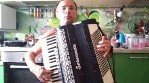 Сектор Газа - Туман (на аккордеоне, без слов)