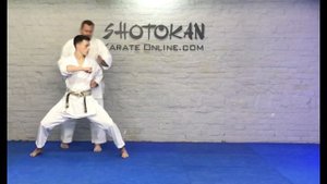 Tekki Shodan Kata Tutorial