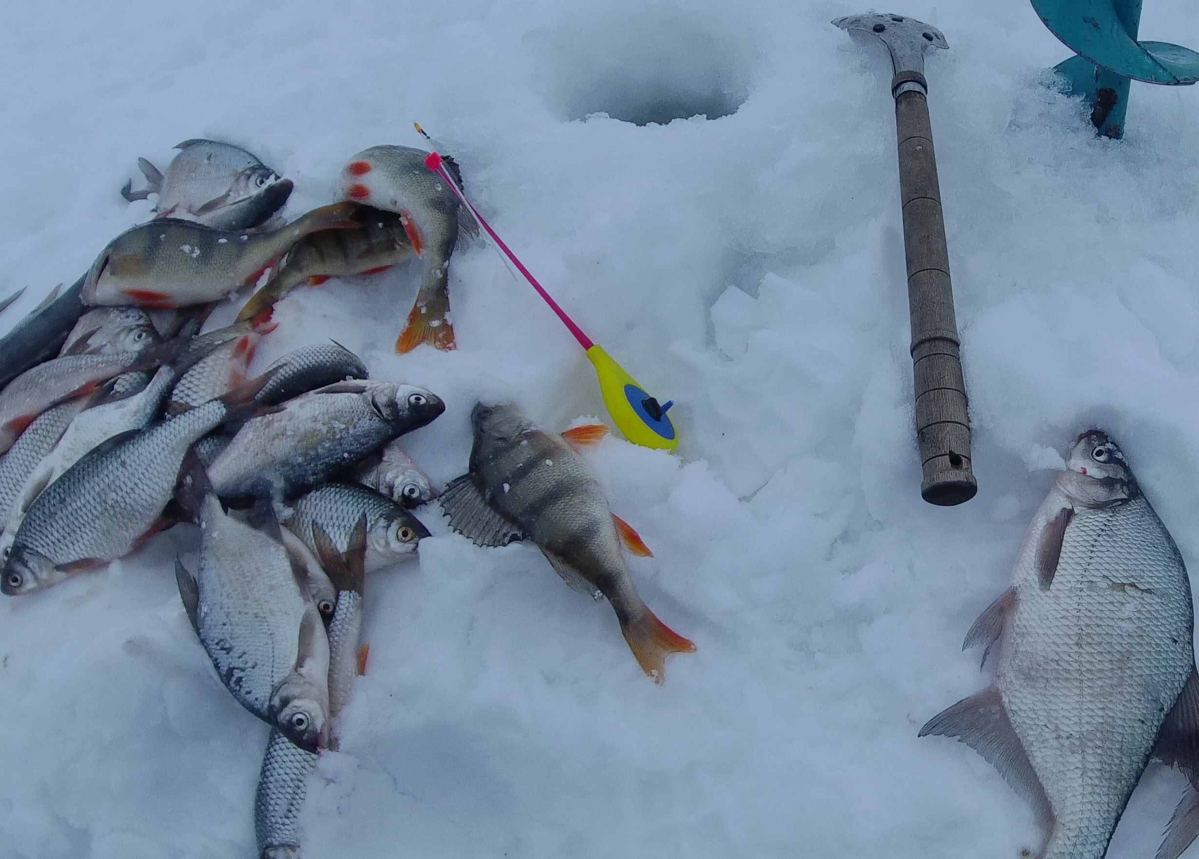 Глухозимье ? НЕТ НЕ СЛЫШАЛ ... Подлещик ,плотва на безмотылку . смотреть онлайн