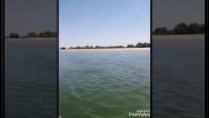 Сплав по Иртышу 2019. День второй.