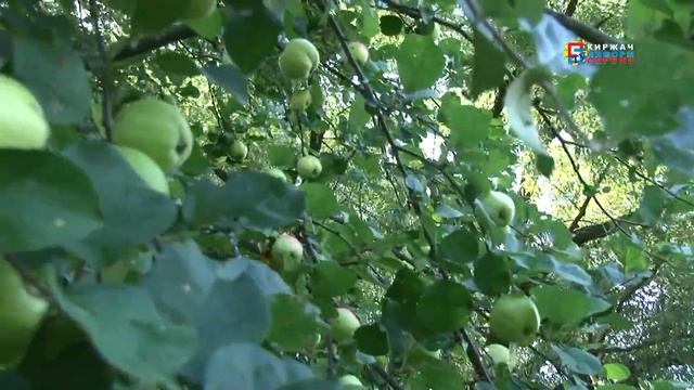 "Неизвестное рядом". Топонимы: река Киржач, озеро Крутое, река Вахчелка смотреть онлайн