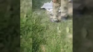 Укладка гранитной плитки