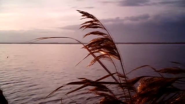 Видеосъемка бюджетной экшн камерой смотреть онлайн