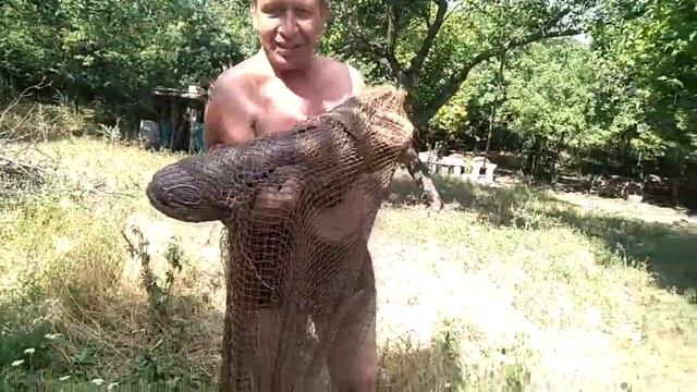 ПОЙМАЛИ ОГРОМНОГО СОМА В НАШЕМ ПРУДУ!!!//CAUGHT A HUGE CATFISH IN OUR POND!!!// смотреть онлайн