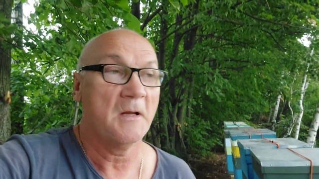 Липа, прицеп, погода... смотреть онлайн