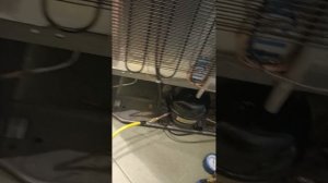 Ремонт холодильника Атлант! В Ярославле!