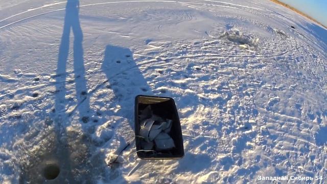 Огромный карась не пролазил в лунку. Рыбалка на хапуги