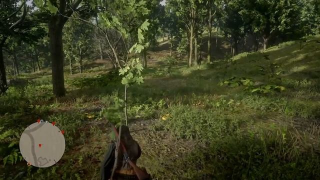 Red Dead Redemption 2  Золотистая смородина