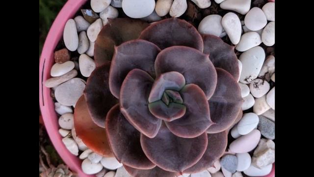 20l9 Winter collection смотреть онлайн