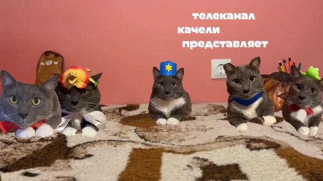 заставки котинет Канал качели 2023kotiynet