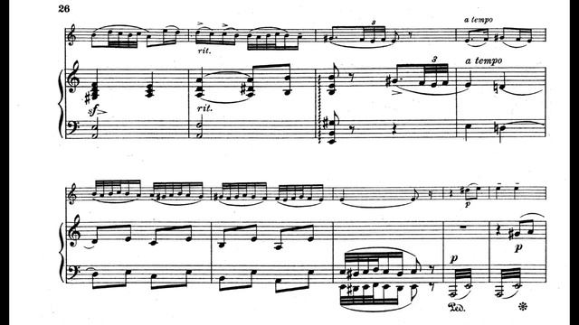 Henryk Wieniawski - Fantaisie Orientale for Violin and Piano, Op. 24 (1885) [Score-Video] смотреть онлайн