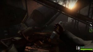 75# Достижение НОВАЯ СТРИЖКА в Left 4 Dead 2