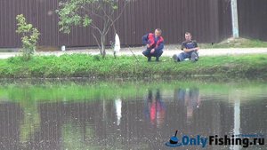 Рыбалка на Говоровском пруду. Ловля окуня. Ловля щуки.