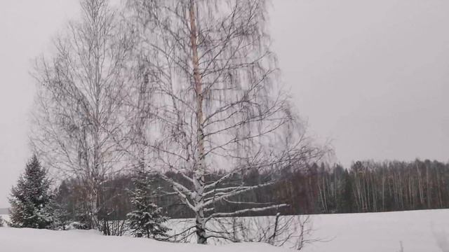 Зима