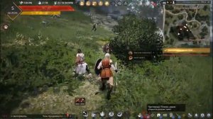 Black Desert Online обзор класса страж.