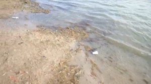 РоСТОВ НА ДОНУ,СОЛЕНОЕ ОЗЕРО в пятницу приехали искупаться
