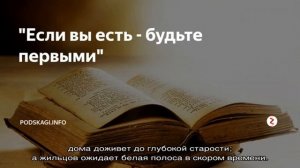 Можно ли сажать вербу на участке, во дворе: приметы и суеверия, если сама выросла перед домом