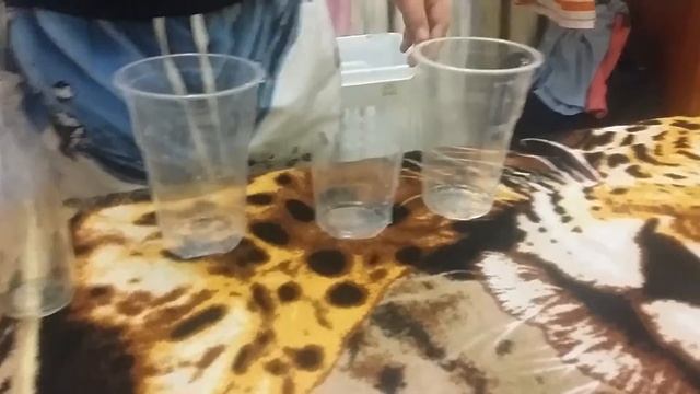 фоукс перелив воды в другой стакан смотреть онлайн