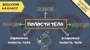 Полость тела животных. Биология 6 класс. Онтогенез. Вторичная, первичная полости тела червей 8 класс