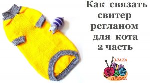 Как связать свитер регланом для кота 2 часть