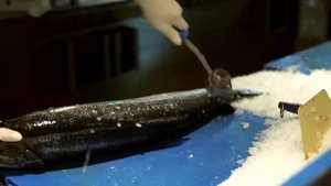 Керамический гриль - Большое зеленое яйцо