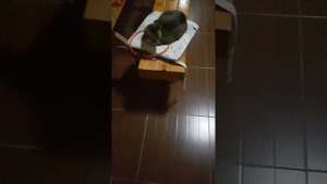 Самодельная гавайка из подручных материалов 🎣🌊