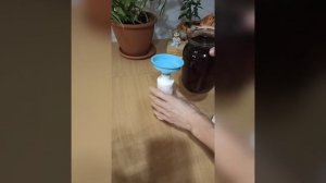 Ферментация кухонных отходов. ЭМ-компостник в домашних условиях.