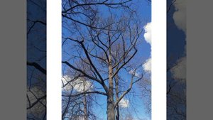 Прогулка в парке