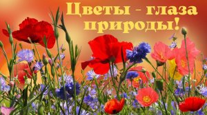 Цветы - глаза природы! Красивая музыка. Музыка для души.