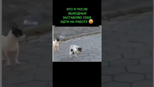 Я когда не хочу идти на работу!.mp4