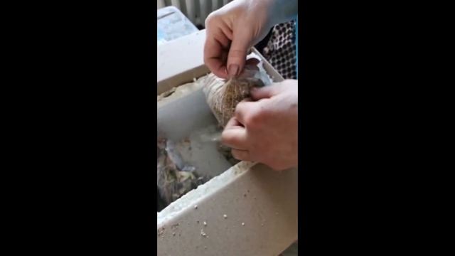 Отзыв клиента из Якутска. смотреть онлайн