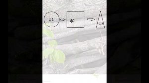 3. Владимир Бехтерев и 23 "универсальных закона"
