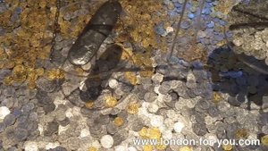 Выпуск 308 Замок Тауэр // Tower of London