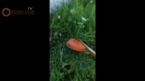 Бензинова косачка тример Premium GT013Q-43 34572 - 1.30 kW