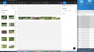 Adding photos to a library in Figma.