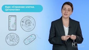 «Строение клетки. Цитология»
