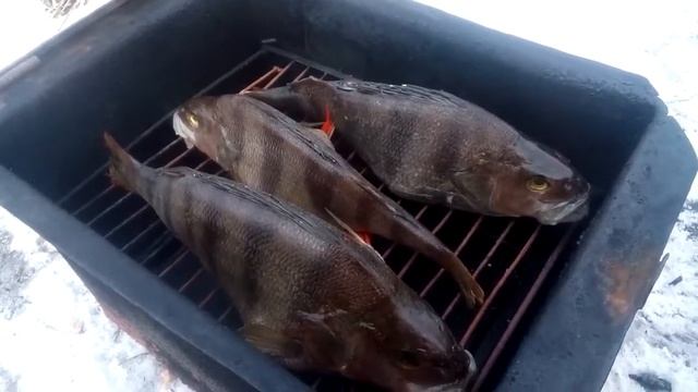Окунь копченый Якутский