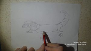 Рисуем гекона за 3 минуты (How to draw a lizard)