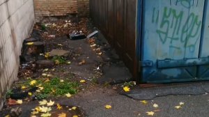 Сталк возле гаражей , поиск цветмета