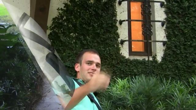 *Plant Podocarpus macrophyllus* +Bush/Hedge Privacy Screens+ смотреть онлайн