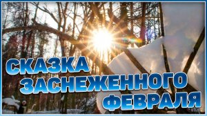 Сказка заснеженного февраля