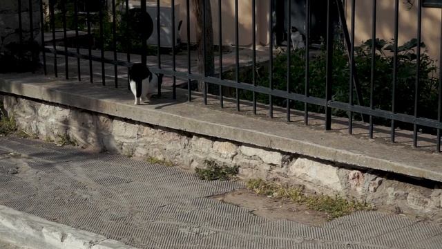 Plaka Athens | A self-guided audio tour on your phone смотреть онлайн