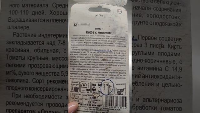 Сад - огород. Отзыв о томатах Кофе с молоком от компании Сибирский сад. смотреть онлайн