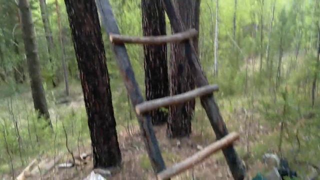 строю лабаз на солонце. смотреть онлайн