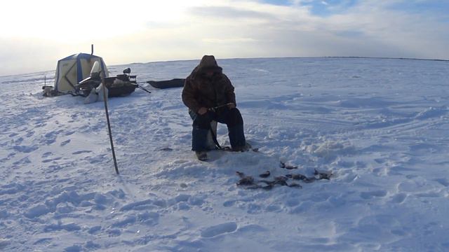 Озеро Ендра 21.02.2024-24.02.2024 смотреть онлайн