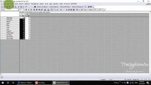 Statistica 12.5 - Basic Overview