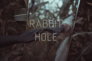 Rabbit hole - кроличья нора